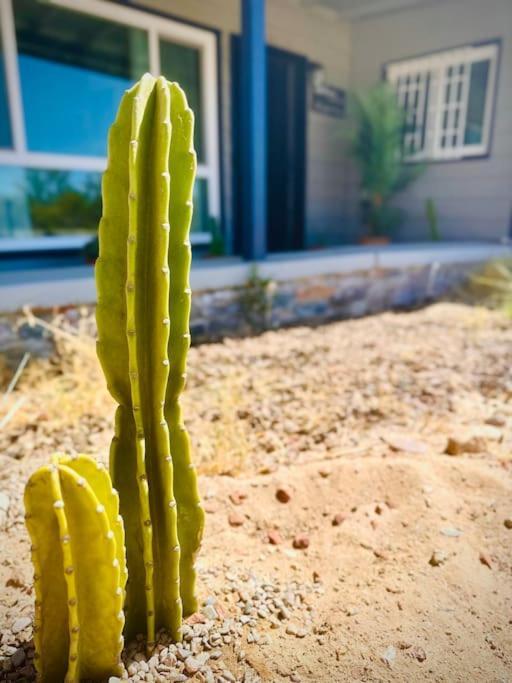 The Desert Monroe-Hot Tub-Firepit-Games-By Joshua Tree National Park 트웬티나인팜스 외부 사진